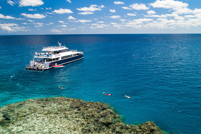 luxury reef tours port douglas
