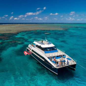 Port Douglas Diving | Dive trips to the outer Great Barrier Reef